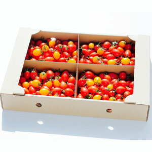 F{Y ACRg}g  3Ly003z _Ƃ񒼎d _͔| Ɋ t[cg}g ~jg}g  Ƃ܂ Mtg 蕨 j