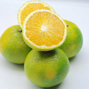 F{Y XC[gXvO ݂ Di  5kgy002zt[c 蕨 Ε Mtg F{ Y   F{ k k