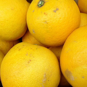 yIʗ 󂠂izF{Y p[ KiO 󂠂i ݁y002zTCY s k k F{ B F{Y  Hi ƒp 󂠂