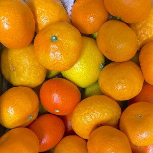 �y�I�ʗ��� �󂠂�i�z�F�{���Y ���k�� �l�ߍ��킹 ������ �K�i�O�y003�z���k �o���G�e�B�[�Z�b�g�T�C�Y�s���� �󂠂� �ƒ�p �����p�s�� �t���[�c �݂���