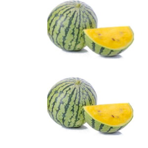 ���i�摜