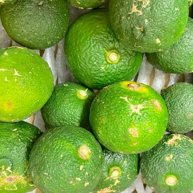【選果落ち 訳あり商品】熊本県産 大分県産 青ゆず 柚子 訳あり 箱込み 約2kg【002】サイズ不揃い ゆず 規格外