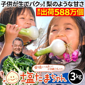 TVで話題のたまねぎ 熊本県産 タマネギ 3kg 塩たまちゃん 塩玉ちゃん 塩玉ねぎ 玉ねぎ サラダたまねぎ お取り寄せ お取り寄せグルメ 農家直送 送料無料
