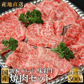 【熊本県産】牛肉「味彩牛」(あじさいぎゅう) 焼肉用セット（カルビー・モモ）用 500g