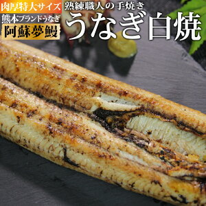 yTCYzF{YȂwhVx܂ Ă 1`3Zbg(1200g)