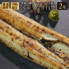 【熊本県産うなぎ】『阿蘇夢鰻』あそろまん 白焼き 2尾セット(280g超え) お歳暮 お正月 おせち ギフト クリスマス プレゼント敬老の日 ギフト 贈答品 国産うなぎ お歳暮 うなぎ白焼き お中元 特大うなぎ 家族 おじいちゃん おばあちゃん 両親 白焼き