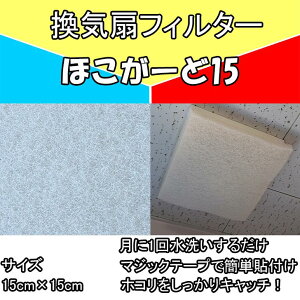 gC C tB^[ ق[15 傫(c15×15)cm zRLb` ȒPtEO }WbNe[vłt gpԂ͖1N 􂢉\ JԂg邩炨zɗD