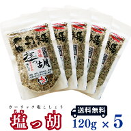 【メール便送料無料】 塩っ胡(しおっこ)　袋入り [120g×5個セット]　【塩工房 野次馬】【調味料 塩こし…