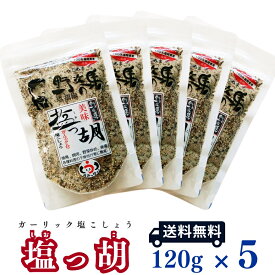 【メール便送料無料】 塩っ胡(しおっこ)　袋入り [120g×5個セット]　【塩工房 野次馬】【調味料 塩こしょう ガーリック塩胡椒 にんにく】