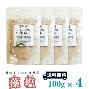 y[֑z  [100g×4Zbg] yH[ 쎟nzy  z