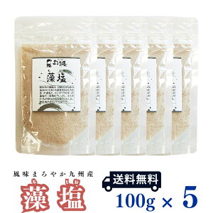 y[֑z  [100g×5Zbg] yH[ 쎟nzy  z