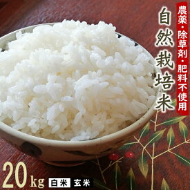 無肥料 自然栽培米 令和5年産 ヒノヒカリ 20kg 【農薬・除草剤・化学肥料 不使用】【有機肥料さえも不使用の自然栽培】【熊本県産 自社農園産 白米 玄米 放射能検査済み】