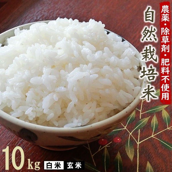楽天市場】無肥料 自然栽培米 令和5年産 ヒノヒカリ 10kg 【農薬・除草