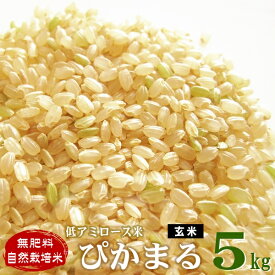 低アミロース米 ぴかまる 5kg 令和5年産 無肥料 自然栽培米 【農薬・除草剤・化学肥料 不使用】【有機肥料さえも不使用の自然栽培】【自社農園産 熊本県産 玄米 放射能検査済み】