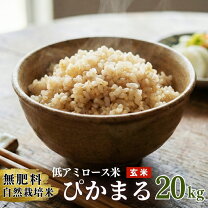 楽天市場】ぴかまる 玄米の通販