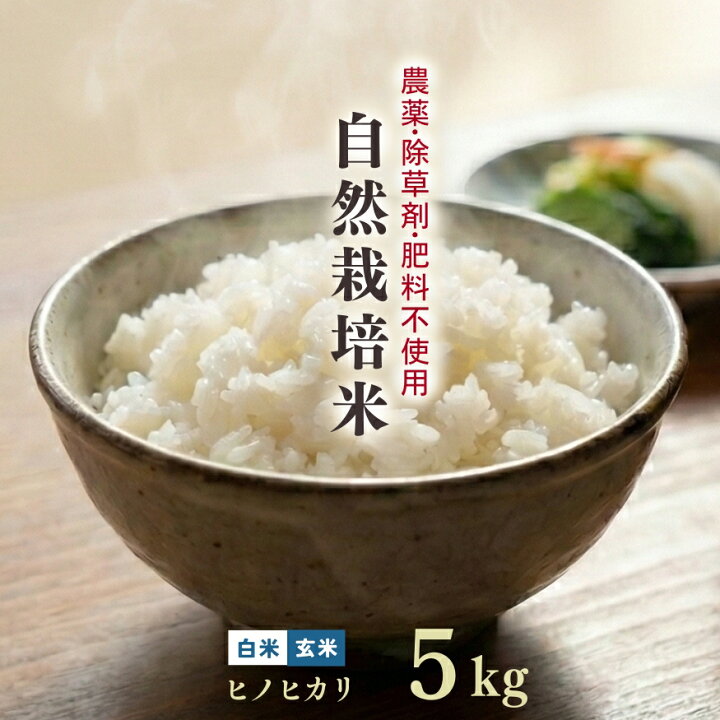 楽天市場】自然栽培米 ヒノヒカリ 5kg 白米 玄米 令和7年産 【農薬 