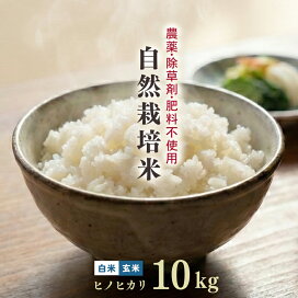 楽天市場】自然栽培米 ヒノヒカリ 5kg 白米 玄米 令和7年産 【農薬 