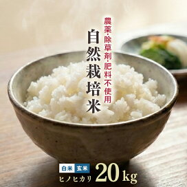 楽天市場】自然栽培米 ヒノヒカリ 5kg 白米 玄米 令和7年産 【農薬 