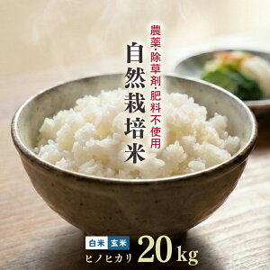 白米 ヒノヒカリ 20Kg」の人気商品一覧・価格比較 - 価格.com
