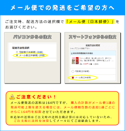 【メール便OK】塩っ胡(しおっこ)袋入り120g【塩工房野次馬】【調味料塩こしょうガーリック塩胡椒にんにく】