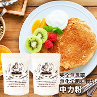 ＼楽天スーパーSALE特価／国産オーガニック中力粉800g（400g×2袋）完全無農薬　無化学肥料栽培　原農場…