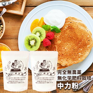 YI[KjbN͕800gi400g×2܁jS_@w엿͔|@_@_Ew엿sgp@F{Y ͏ L@ [ց@L@JAS@iF`NSCY~@񂲏`