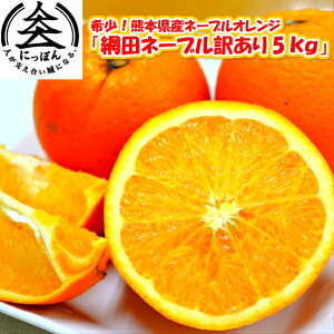 【予約受付中】熊本県産　加悦さんちのちょっと訳あり網田ネーブルオレンジ5kg　サイズ混合　国産最高峰のネーブルと言われる、「網田ネーブル」かつてその美味しさは皇室への献上品と