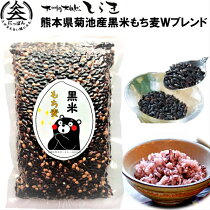 ������̵���۷��ܻ����ӻ����Ƥ�����ץ֥���500��ݥ�ե��Ρ���ȴ���ι��Ƥȿ�ʪ����ȴ���Τ���������������˥֥���̵�����������ݡ�����̵ź�á�̵�忧����α�����������ޥ�󤬥ץ��ȷ��ܸ����᡼���ؾ��ʹ񻺶彣���缫�����餭