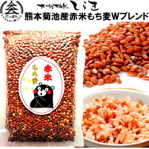 ������̵���۷��ܵ��ӻ����Ƥ�����ץ֥���500��ݥ�ե��Ρ���ȴ�������Ƥȿ�ʪ����ȴ���Τ���������������˥֥���̵�����������ݡ�����̵ź�á�̵�忧����α�����������ޥ�󤬥ץ��ȷ��ܸ����񻺥᡼���ؾ��ʶ彣���缫�����餭