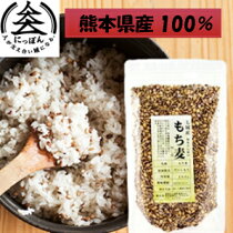 ������̵���ۺ��ܤ���ȤΤ����280��񻺡�100���ܸ����˥����������ʪ���ݤ����Ƥ���20�ܡ����ܸ�����Į�᡼���ؾ���