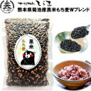 熊本産菊池産黒米もち麦Wブレンド500g ポリフェノール抜群の黒米と食物繊維抜群のもち麦だけを贅沢にブレンド　無・減農薬栽培、完全無添加・無着色、残留農薬ゼロ 古代米 もち麦 雑穀米 くまもん 混ぜるだけ 熊本県産 メール便 国産