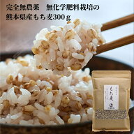 ＼楽天スーパーSALE特価／新麦加工中の為6月20日以降発送 国産オーガニックもち麦 原さんのもち麦300g 原…