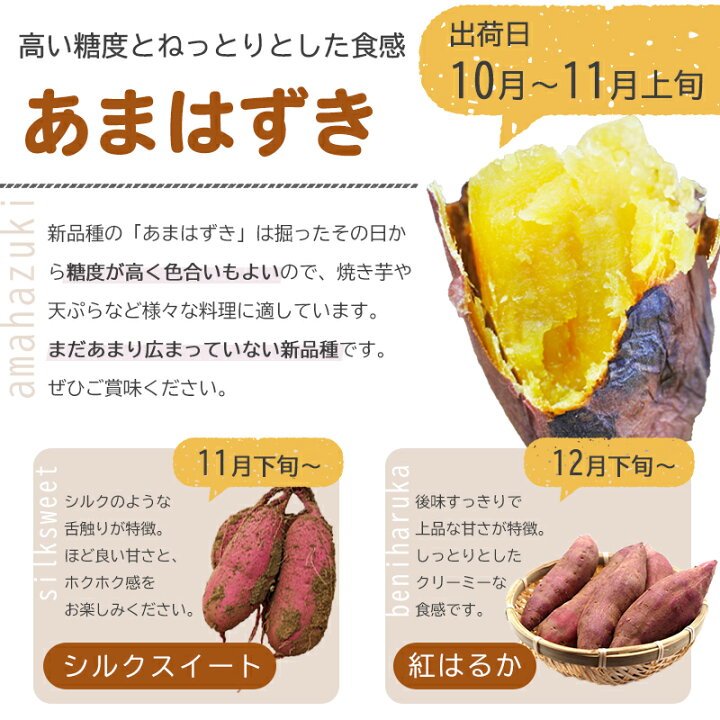 楽天市場】【ちょっと訳ありB級品】新種のさつまいも あまはづき 
