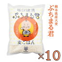10袋セット　西田精麦 毎日健康 ぷちまる君 1kg×10袋　熊本県産大麦　国産　むぎ御飯　麦御飯　麦ごはん　まとめ買い10kg　健康　大麦　丸麦　まるむぎ　※こちらの商品は北海道、沖縄への発送は致しておりません。注文の際は自動的にキャンセルとなります。