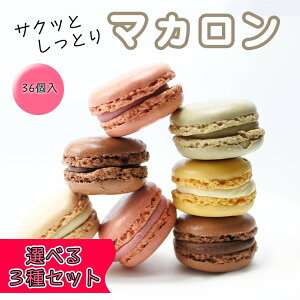 xM[}J@Iׂ36Zbgi`R[g@Xgx[@@sX^`I@oje12̒3jxM[Y@󂠂i܂ɊꂠjⓀց@Ɩp@p[eBp