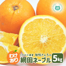 予約受付開始3月中旬発送予定 予約受付開始 熊本県産 加悦さんちのちょっと訳あり網田ネーブルオレンジ5kg サイズ混合　国産国産ネーブル 最高峰のネーブルと言われる、「網田ネーブル」かつてその美味しさは皇室への献上品として送られていました。