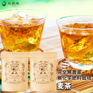 国産オーガニック水出し麦茶240グラム（10g×24パック）完全無農薬　無化学肥料栽培の麦茶　無農薬・化学…