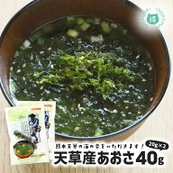天草産あおさ　40g（20g×2）メール便送料無料 熊本県天草産アオサ 乾燥あおさ　天草産100％　海苔 海藻 …