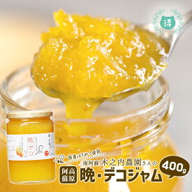 九州熊本の逸品　阿蘇木之内農園　阿蘇高原晩デコジャム400g　熊本県産晩白柚/不知火（デコポンと同品種）使用　※人気商品の為発送まで1週間以上かかる可能性がございます。国産はちみつ使用・ハチミツ・蜂蜜・果実ぎっしり・熊本・お土産・ご当地　保存料/着色料不使用