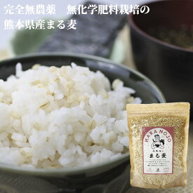 完全無農薬　無化学肥料栽培　原農場のまる麦400g 原さん 国産 熊本県産 ぷち麦 プチプチ食感 裸麦 大麦 メール便 無添加 無着色 健康 安全 有機JAS 便利なチャック付き　丸麦