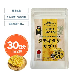 yz Tvg KUMAMOTO ^M^P Tv 60(130 12) ^ubg GS`IlC -OJ OV A~m_ iCAV r^~ B3 R[Q H@ 