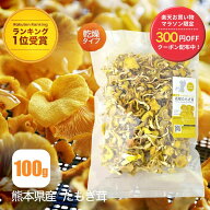 【期間限定/300円OFFクーポン】【公式】乾燥 たもぎ茸 100g [楽天ランキング1位受賞] エルゴチオネイン …