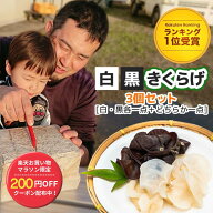 【期間限定/200円OFFクーポン】【楽天ランキング1位受賞】きくらげ 栽培キット 3点 セット【公式】栽培セ…