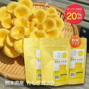 y20OFFX[p[SALEz  3  pE_[ ^Cv GS`IlC -OJ OV iCAV A~m_ r^~ B3 H@ S ԍ   