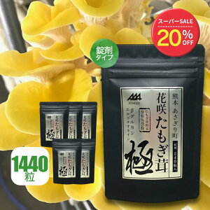 y20OFFX[p[SALEz  Tvg  kiwami 240(1 30 18)y6܃ZbgzTv ^ubg ۊ GS`IlC -OJ OV iCAV A~m_