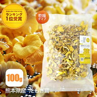 【公式】乾燥 たもぎ茸 100g [楽天ランキング1位受賞] エルゴチオネイン β-グルカン グリシン ナイアシ…