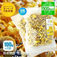 【LINEお友だち登録で500円OFF！】【公式】乾燥 たもぎ茸 (100g ×2袋) [楽天ランキング1位受賞] エルゴ…