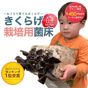 �y���Ԍ���/�ő�450�~OFF�N�[�|���z�y�y�V�����L���O1�ʎ�܁z�����炰 �͔|�L�b�g�y�����z�͔|�Z�b�g �؎� �� ���̂� �͔| �ۏ� ���R���� �H�� �����炰�͔| ���̂��͔| ���ƍ͔| �ƒ�؉� 