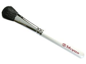 [ Ή FM ACJ[uV L |j[F쉻ϕMizCgp[j E  FM ϕM CNuV gїp ACCNuV ACVh[uV