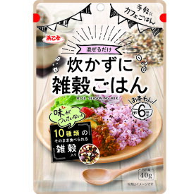 浜乙女 炊かずに雑穀ごはん 40g×10個